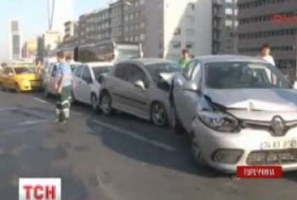 Чайка паралізувала основну трасу Стамбулу на пів доби