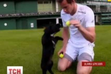Відомий тенісист Енді Маррей зняв кумедне відео на підтримку програми навчання службових собак