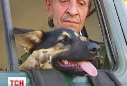 Українських бійців у зоні АТО оберігають кошенята, собаки та пташки