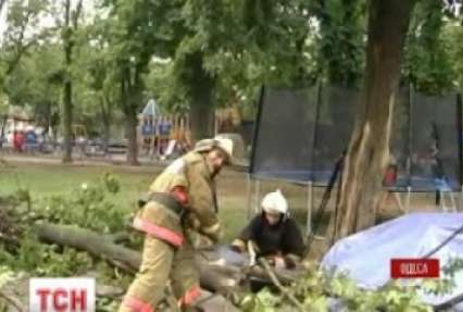 В Одесі дерево впало на людину