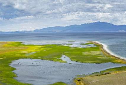 Байкал пытаются спасти от водорослей, заполонивших берег по вине коммунальщиков