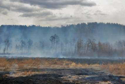 Чита в дыму, в Забайкалье растет площадь лесных пожаров