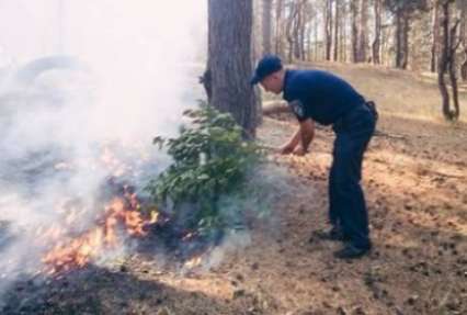 ФОТОФАКТ. Под Киевом патрульные потушили лесной пожар