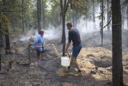 Глава Бурятии призвал жителей региона защитить леса от поджигателей