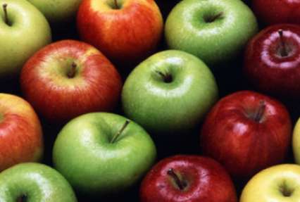 Из-за российских запретов Польша теряет экспорт яблок
