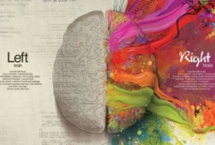 Как улучшить память и внимание: ТОП-5 продуктов для мозга
