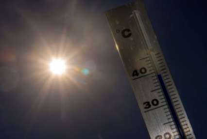 Климатологи определили самый жаркий год современности