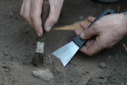 На Алтае в пещере Страшной нашли фрагменты древних костей