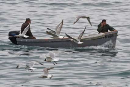 Найдены трое из шести пропавших на Камчатке рыбаков