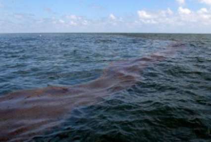 Нефть из турецкого судна разлилась в море возле Мариуполя