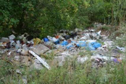 Одесским селам грозит экокатастрофа: мусор выбрасывают в лес