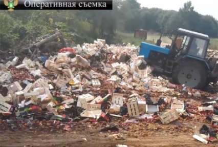 ОЗПП, пожаловавшееся в ВС на указ об уничтожении еды, обратилось к Путину за разъяснениями по правилам 