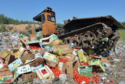 Песков признал процесс уничтожения санкционной еды визуально неприятным