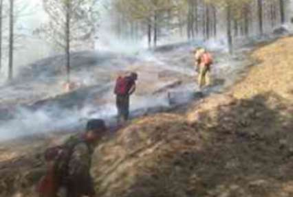 Площадь лесных пожаров в Бурятии за сутки выросла более чем на 800 гектаров