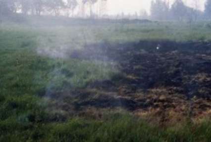 Под Киевом в 16 местах продолжают гореть торфяники
