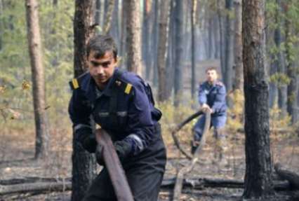 Пожар в Дарницком лесу под Киевом ликвидирован – ГСЧС