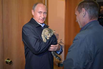 Путин сфотографировался с кошкой Муркой в Хакасии