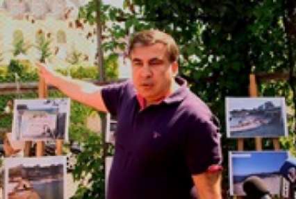 Саакашвили ответил Коломойскому на сравнение с собакой