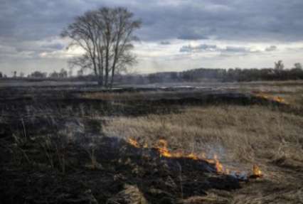 Сибирь охватили лесные пожары