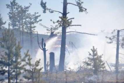 Сибирь охватывают лесные пожары