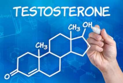 Тестостерон продлевает мужчинам жизнь – ученые