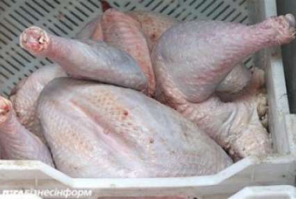 Украина нарастила экспорт курятина в ЕС в три раза - Павленко