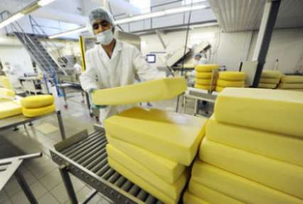 Украина теряет экспорт сыра