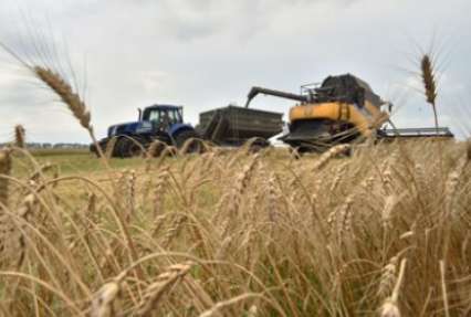 Украина входит в ТОП-3 мировых экспортеров зерна – Павленко
