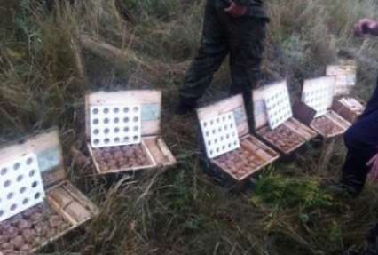 В Днепропетровской области нашли большой тайник с боеприпасами: изъяли шесть ящиков гранат