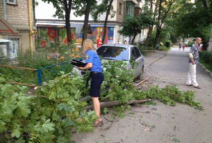 В Харькове на мать с младенцем упало дерево