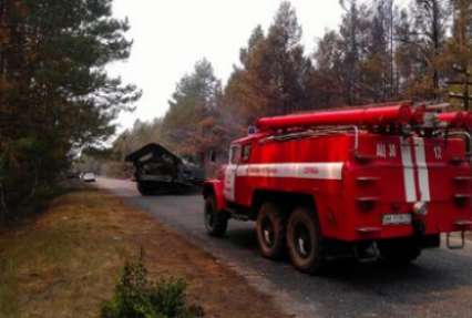 В Киевской области продолжается ликвидация возгораний лесной подстилки