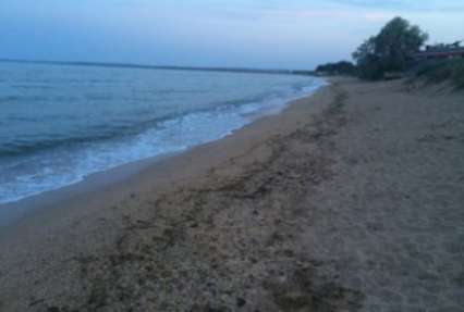 В Крыму заявили о проблеме с грязными пляжами и их доступностью