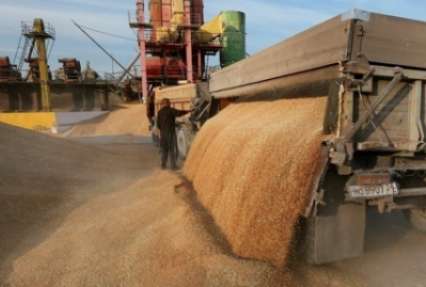 Экспорт агропродукции из Украины вырос на 40%