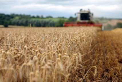 Инвестиции в агросектор Украины выросли на 60%