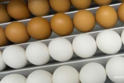 В Румынии обнаружили тонну зараженных яиц