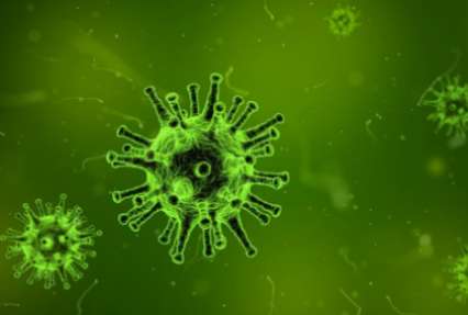 Откуда взялись современные вирусы: ученые провели необычное исследование