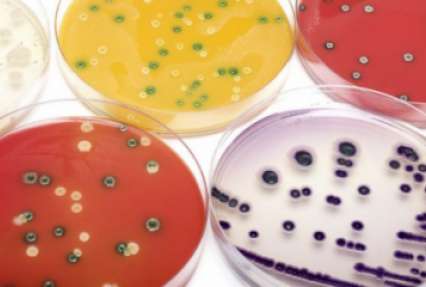 Создан антибиотик, убивающий «супербактерии»
