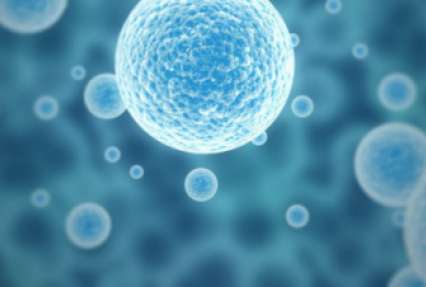 #видео | Ученые показали, как выглядит стволовая клетка в 3D