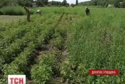 На Дніпропетровщині з’явилася перша в Україні волонтерська ферма