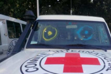 Красный Крест прокомментировал митинг в Донецке