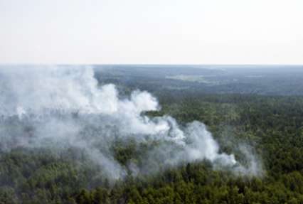 Глава МЧС пообещал ликвидировать пожары в Сибири за два с половиной дня