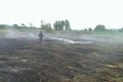 ГосЧС: В Житомирской области сгорело 80 га пшеницы