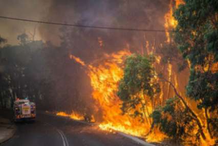 Канаду охватили масштабные лесные пожары, 8 тысяч человек эвакуированы