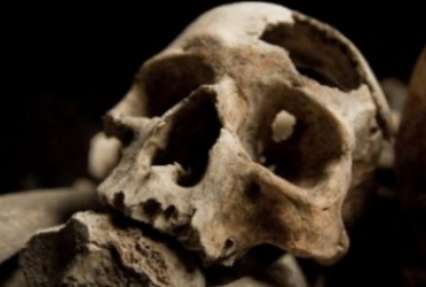 Китайские археологи нашли десятки черепов с 