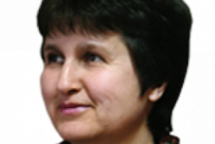 Конституционный суд сделал пас парламенту (укр.)