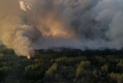 По факту пожара под Киевом открыто уголовное производство