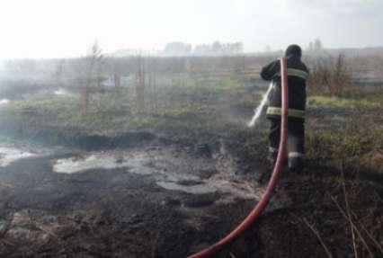 Под Киевом горит более 30 гектаров торфяников