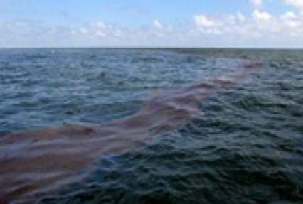 Турецкое судно разлило нефть вблизи Мариуполя