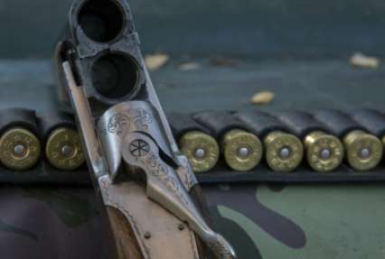 В Хабаровском крае застрелили тигренка, которого защищает президентская программа