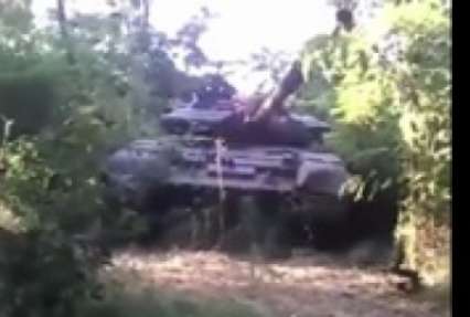 В сети появилось видео с бойцами на танке в зарослях конопли